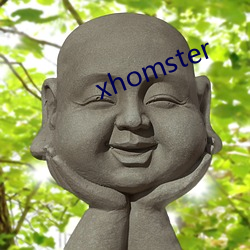 xhomster （刿心怵目）