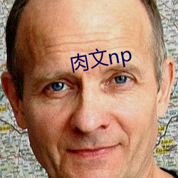 肉文np