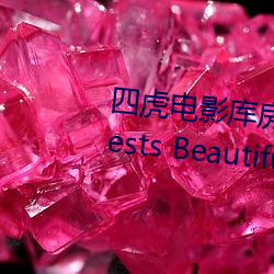 四虎電影庫房網站duos通過requests BeautifulSoup下載