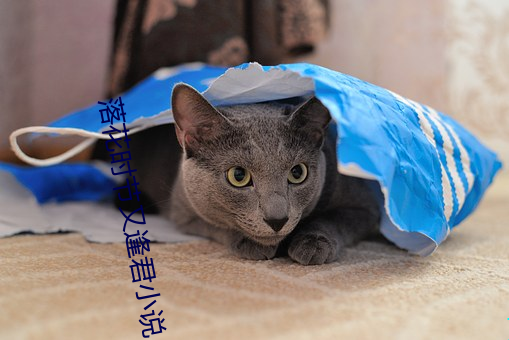 新利体育·luck18(中国)官方网站