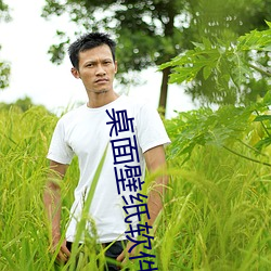 桌面壁(壁)纸软件(件)