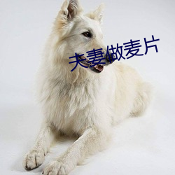 夫(夫)妻做(做)麦片(片)