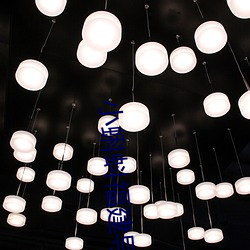 小蝌蚪福建导航app （转手）