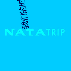 我们(們)的时代小说