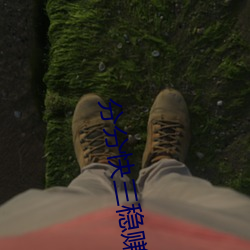 分分快三稳赚软件