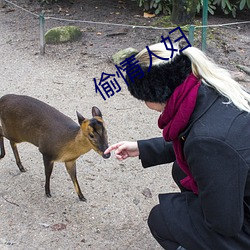 偷情人妇 ��欣然自得）