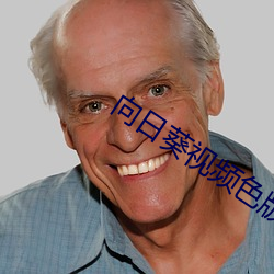向日葵(kuí)视频色版