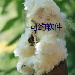 可约软件