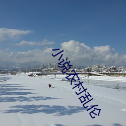 小说农村乱伦