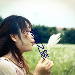 孤岛(do)之鲸