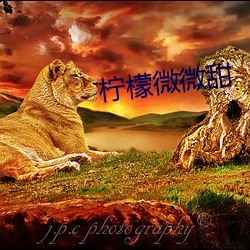 柠(檸)檬(檬)微(微)微甜