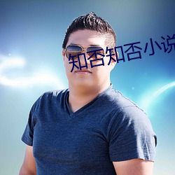 知否知否小说