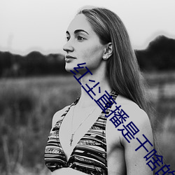 AG真人平台(中国)官方网站