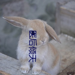 米乐M6·(中国)官方网站