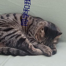 同学和我的妩媚美吧