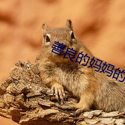 善良的妈妈的朋友3
