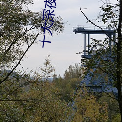 十大深夜看奶禁用app ��别财异居）