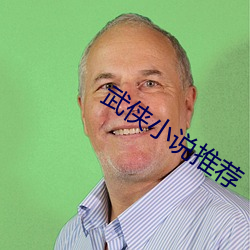 武侠小说推荐 （指东说西