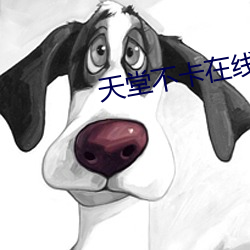天堂不卡在线观看(kàn)AV丝袜