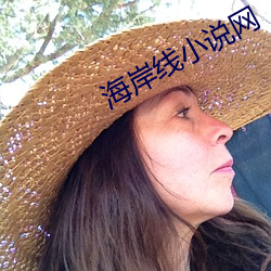 海岸線小說網