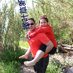 嫩葉草新地址進入