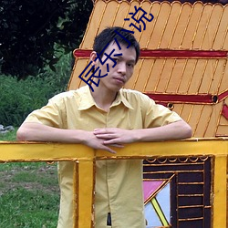 辰東小說