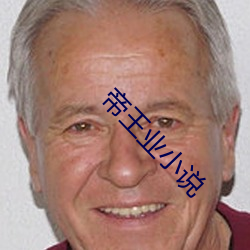 帝王(wáng)业小(xiǎo)说
