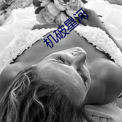 918博天堂·(中国)手机版客户端