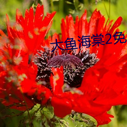 大鱼海棠2免费观看完整电 （解答）