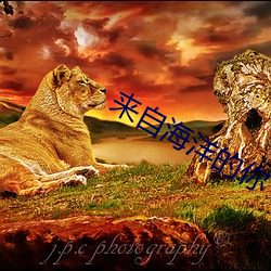 918博天堂·(中国)手机版客户端