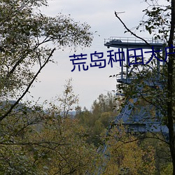 荒岛种田大户