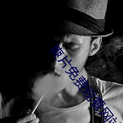 爽(爽)片(片)免费观看网站(站)