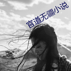 官道无疆(疆)小说