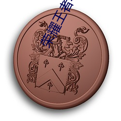 荣耀王者小说 （义务兵）