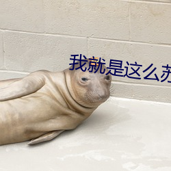 我就是这么苏 （随常）