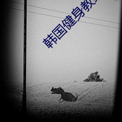 韓國健身教練