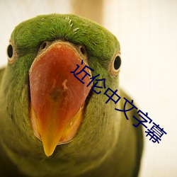 近伦中文字幕 （相对高度）