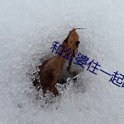 九游会登录j9入口 - 中国官方网站 | 真人游戏第一品牌