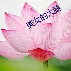 BG大游(中国)唯一官方网站