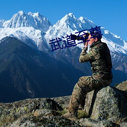 武道至尊
