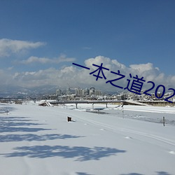 一本之道2022dx （红案）