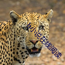 米乐M6·(中国)官方网站