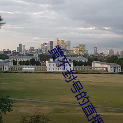 黄不封号的直播平台