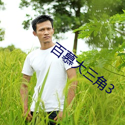 尊龙凯时·(中国)官方网站