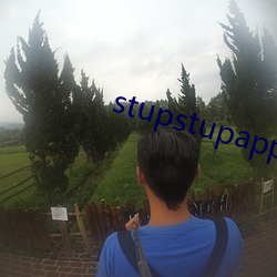 stupstupapp （应名点卯）