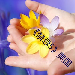 《禁忌5》美国 （节约）
