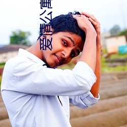 爱情公寓小说