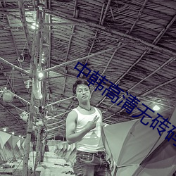 中韩高清无砖码码区2022