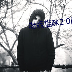 老版猫咪2.0网(網)页(頁)版(版)