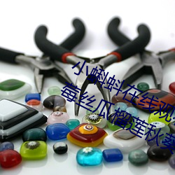 小蝌蚪在线观看视频www:免费获取草莓丝瓜榴莲秋葵绿巨人福 租金）